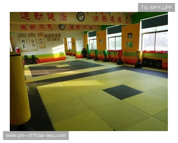跆拳道学院推动青少年训练营的品牌化运营与质量监管,跆拳道馆运营方案 跆拳道学院推动青少年训练营的品牌化运营与质量监管,跆拳道馆运营方案